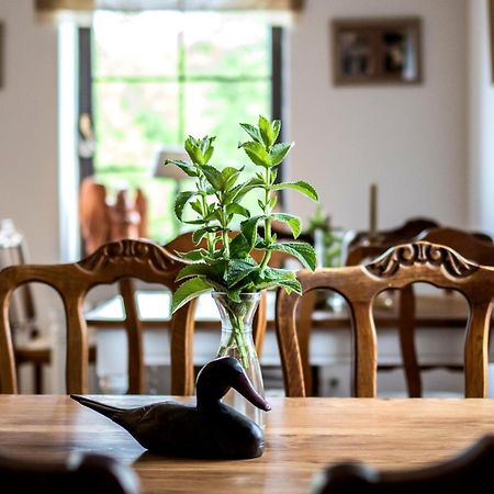 Dom Pod Skrzydlami Bed & Breakfast Gawliki Wielkie ภายนอก รูปภาพ