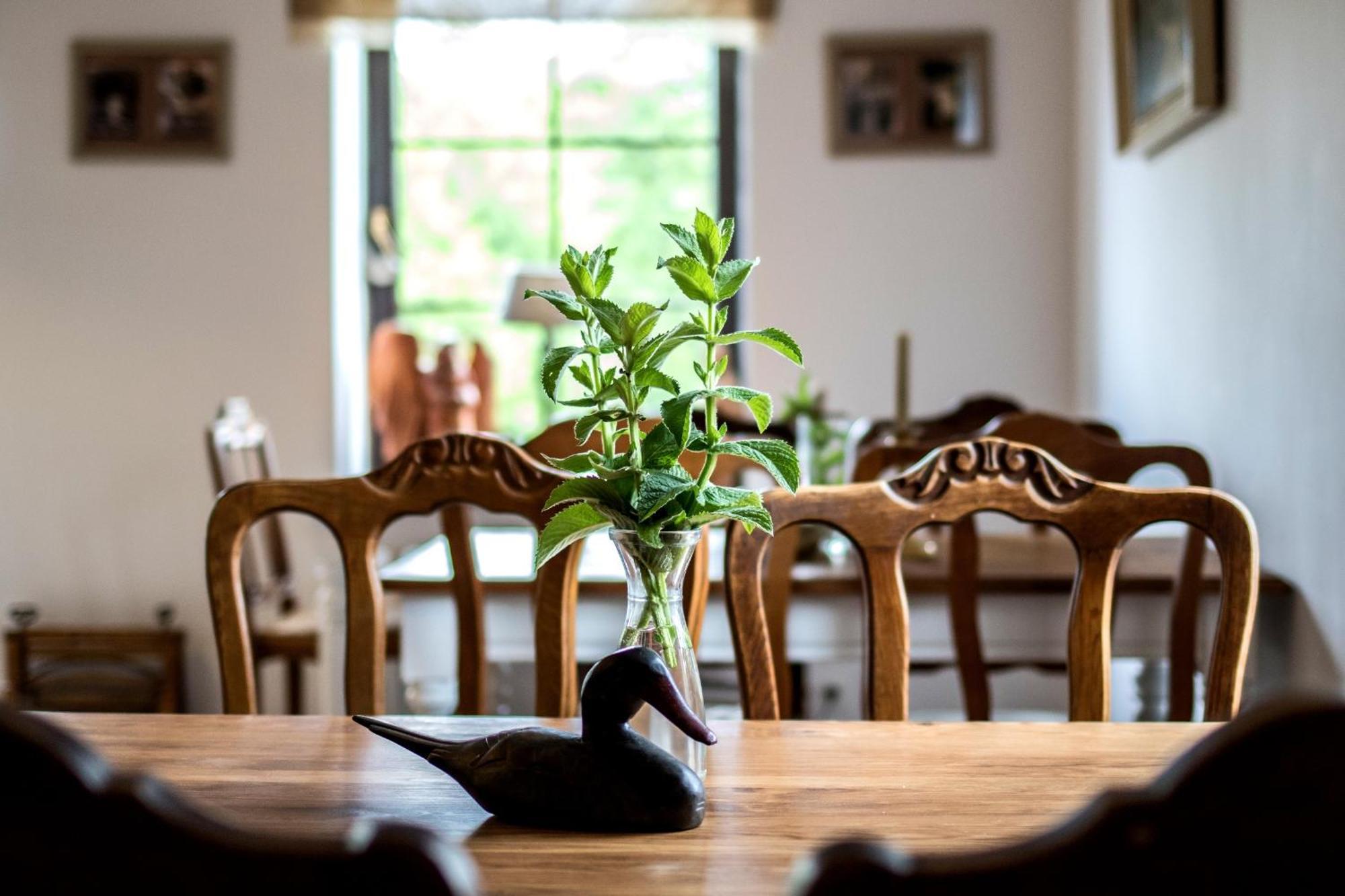 Dom Pod Skrzydlami Bed & Breakfast Gawliki Wielkie ภายนอก รูปภาพ